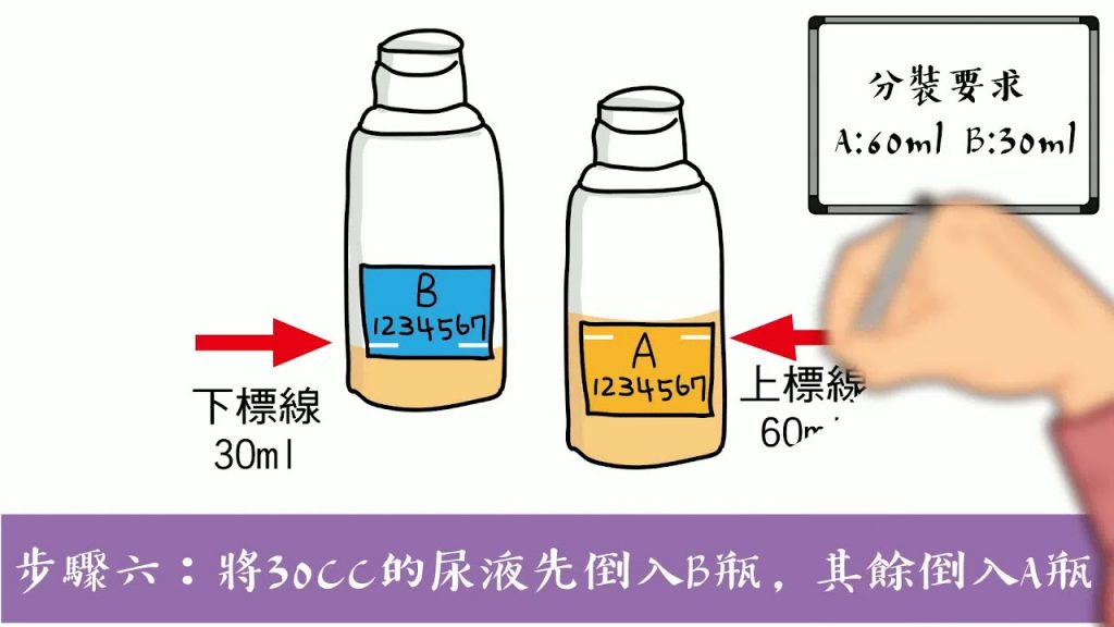 尿液採樣程序(尿液足夠90ml)